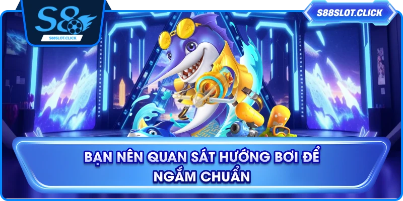 Bạn nên quan sát hướng bơi để ngắm chuẩn