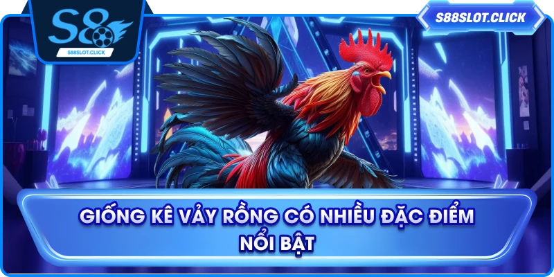 Giống kê vảy rồng có nhiều đặc điểm nổi bật