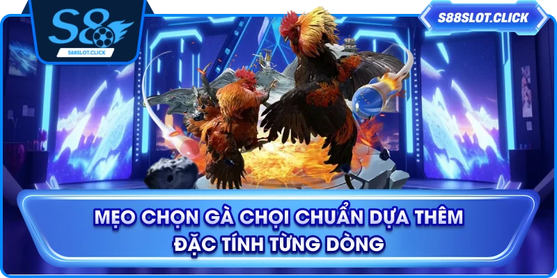 Mẹo chọn gà chọi chuẩn dựa thêm đặc tính từng dòng